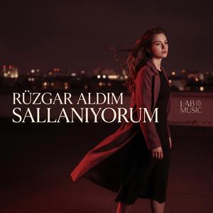 Rüzgar Aldım Sallanıyorum