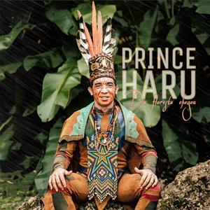Ho'oponopono (feat. Hayra Kuntanawa)