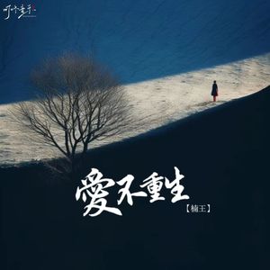 爱不重生