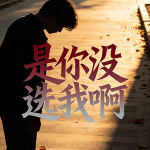 是你没选我啊