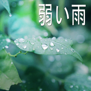 弱い雨、パート17