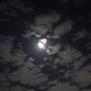 望月亮(Prod by RedRumMusic)