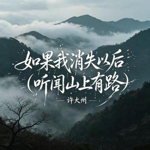 如果我消失以后(听闻山上有路)
