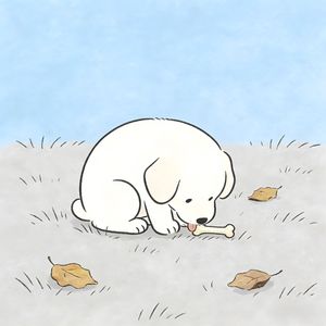 谂多咗（舔狗之歌）