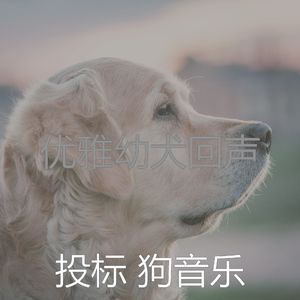 微妙的可爱的狗心情