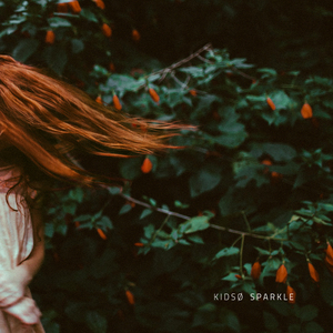 Sparkle (The Mountain Howl Remix)