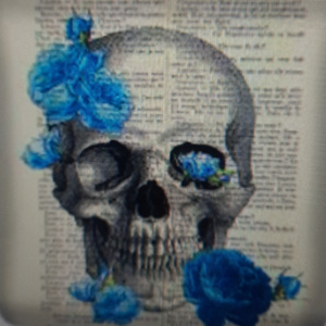 Blauwe rozen