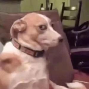 独行侠＋爱如潮水