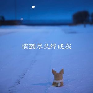 情到尽头终成灰