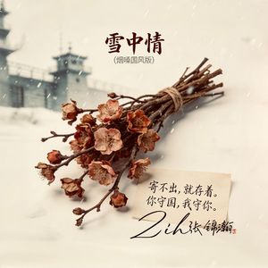 雪中情（烟嗓国风版）