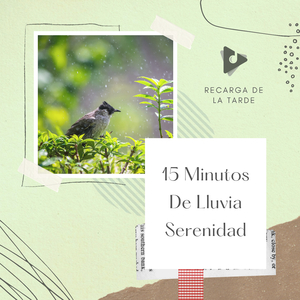 Zen Lluvia jardín lleno de pájaros