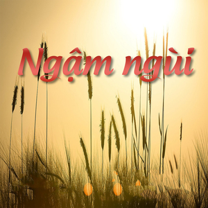 Con thuyền không bến