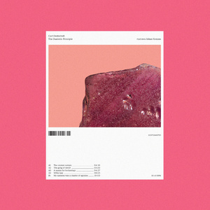 My Sadness Was A Cluster Of Agonies