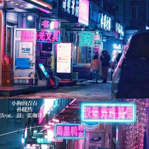 小狗的青春（翻自 贰佰）