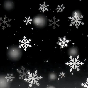 世界上有两个我