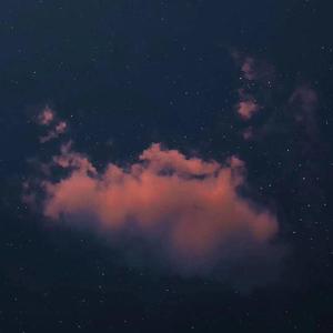 鸽子（翻自 蓝皓议）