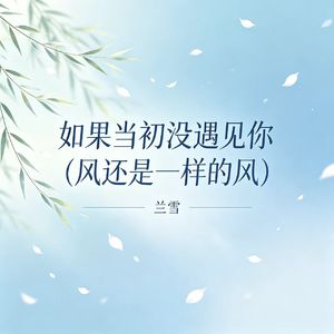 如果当初没遇见你（风还是一样的风）