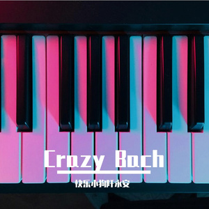 纯音乐钢琴曲-Rhythmic Pachelbel（快乐小狗阡永安 remix）