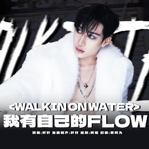 Walkin On Water(翻自Stray Kids )