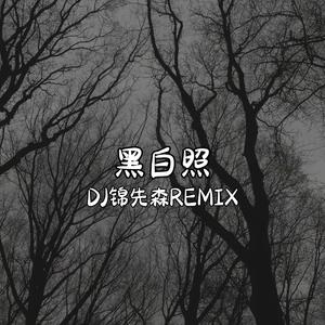 黑白照（DJ锦先森 Remix）