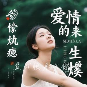 爱与恨来生偿 (Cover 百龙)