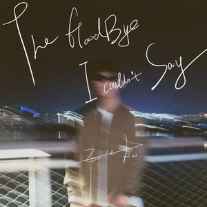 The Goodbye I Couldn’t Say 伴奏