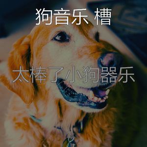 抚慰的幼犬回忆