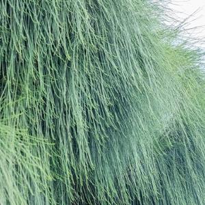 波光粼粼的水面 (钢琴曲)