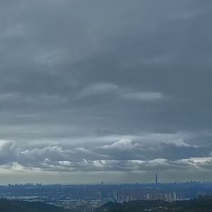 需要人陪（口琴）