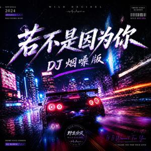 若不是因为你(DJ烟嗓版)