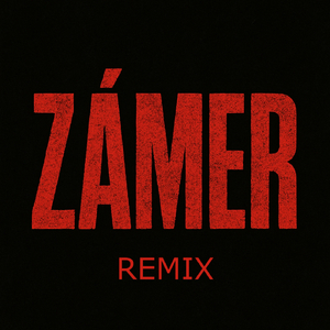 ZÁMER (Remix)