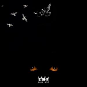 SpinDatBac Freestyle