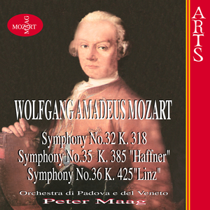 Symphony No.32 in G major K.318: II. Andante - Tempo I