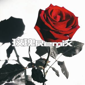 玫瑰Remix
