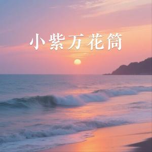 小紫万花筒 (也要挥手说没关系)