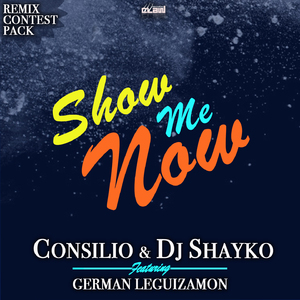 Show Me Now (Martin Noiserz Remix)