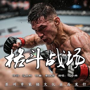 格斗英雄