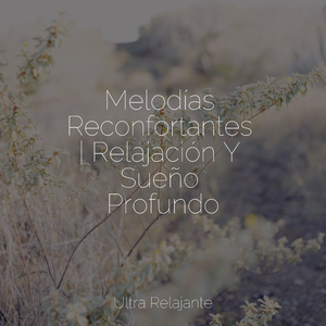 Completamente Relajado