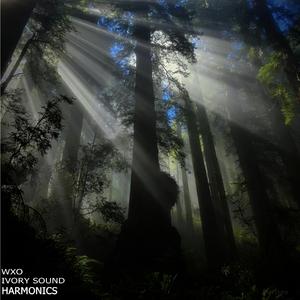 Harmonics (feat. wXo)