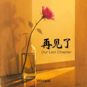 再见了 (Our Last Chapter)
