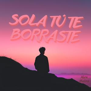 Sola Tú Te Borraste