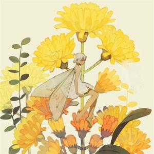 提高学习注意力（阅读轻音乐）