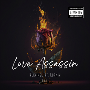 Love Assassin 爱情刺客