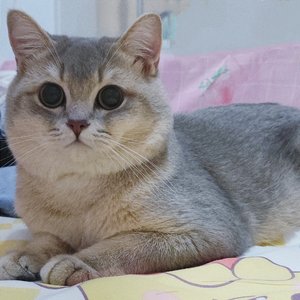 词不达意