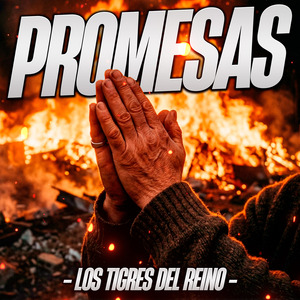 Promesas