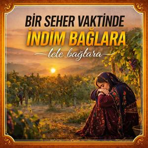 Bir Yâr Oturmuş Ağlar