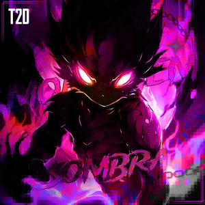 Montagem Sombra