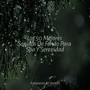 Odisea Melódica Interior