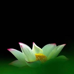 改天是哪天 下次是哪次