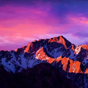 狠心的人不流泪